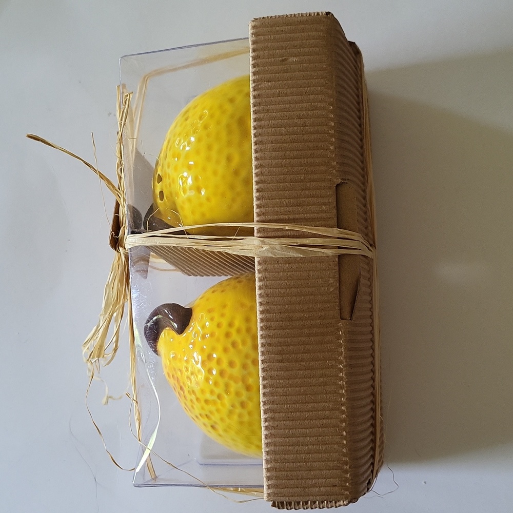 Arlington Designs Lemon Salt & Pepper Shakers